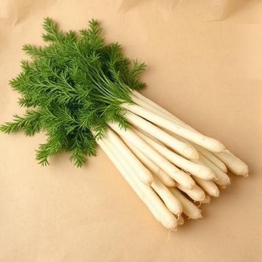 Shatavari — Asparagus racemosus
